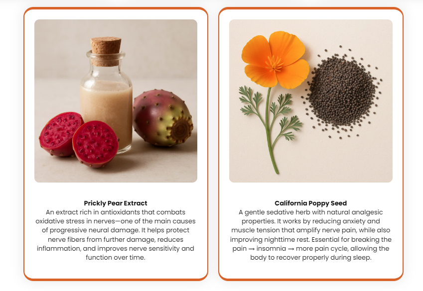 Prickly Pear Extract and California Poppy Seed ingredients